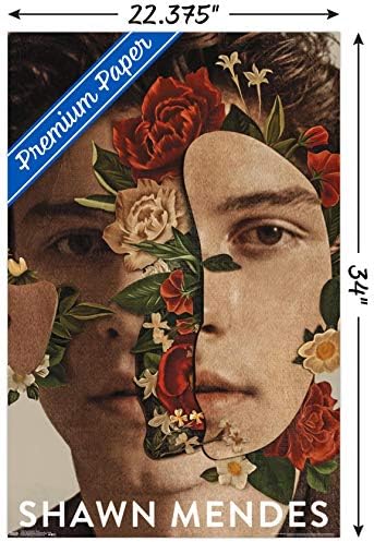 Trends International Shawn Mendes - Floral Wall Poster, 22.375 x 34, versão sem moldura premium
