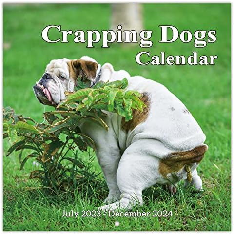 2023-2024 Calendário de parede-18 cães de cocô mensal calendário 2023-2024, 2023 de julho-dezembro de 2024, Funny Dog Calendar Gag