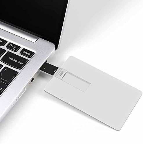 Cartão de crédito engraçado Koala USB Flash Flash Memory Stick Stick Storage Drive 32g
