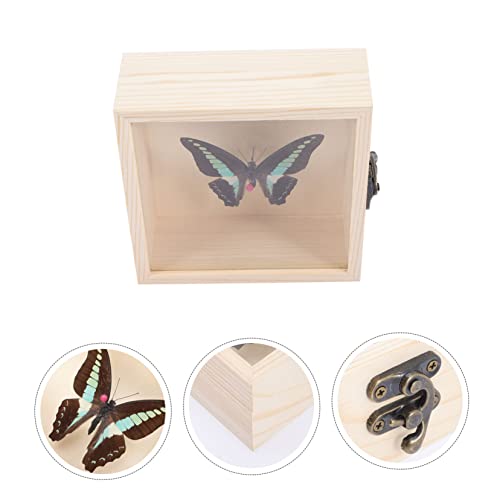 Decoração de amostra de borboleta amosfun para decoração de decoração para casa Decorações de escritório 3 conjuntos de molduras de