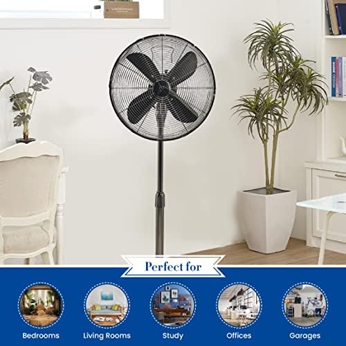 Decobreeze Pedestal Standing Floor Fan, 3 velocidades fãs com altura ajustável, pérola preta, ventilador retrô, 16 polegadas