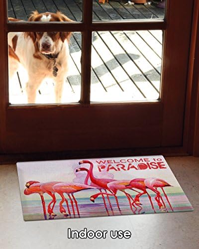 Toland Home Garden 800411 Flamingo Paradise Summer Door Mat 18x30 polegadas Bem -vindo ao ar livre capacho para entrada interna