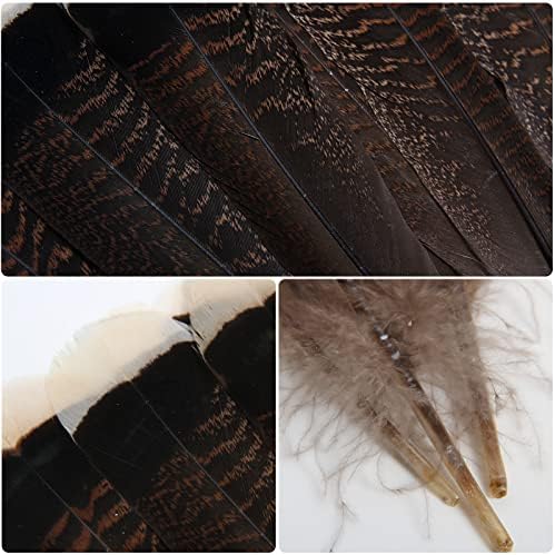 THARAHT 24pcs Natural Wild Turkey Tails Feathers Quill Bulk 12-14 polegadas 30-35cm para DIY Crafts Project Collection