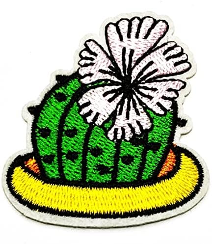 Kleenplus cactus flores fofas de desenho animado cacto cacto bordado Applique artesanal artesanal bebê garoto menina Mulheres