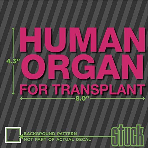 Órgão humano para transplante - decalque mais frio - 8,0 x4.3 - adesivo de decalque de vinil icebox cerveja de cerveja