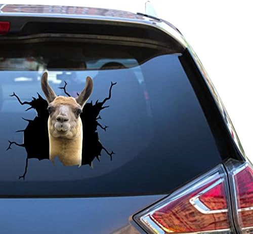 Camellia Print Llama Sticker Llama Car Facta Facial Clean Automotive Atickers para Mulheres Voltar Vynl Tractor Decal