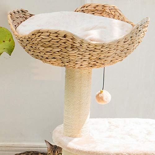 Tree de gatos da árvore de gatos Torre de gato de árvore com sisal arranhando post gatinho scratcher placa gatos condomínios ninho