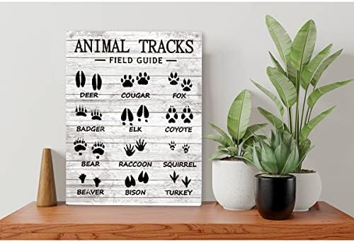 Rustic Animal Tracks Guia de campo de madeira SIGN RATES ANIMAIS Sinais de madeira pendurada em casa Arte da parede do