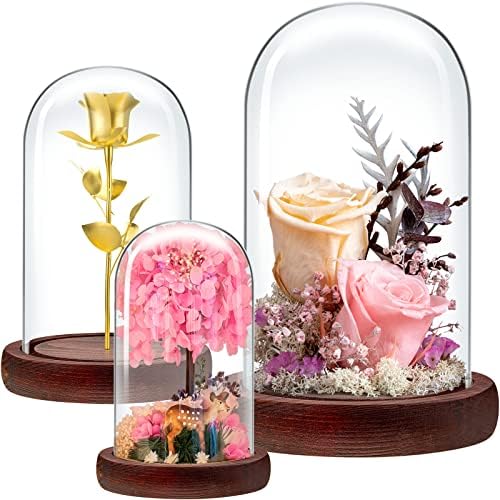 3 peças cloche vidro cúpula de vidro exibir cúpula de vidro cloche de vidro com base de madeira maciça para a decoração do dia