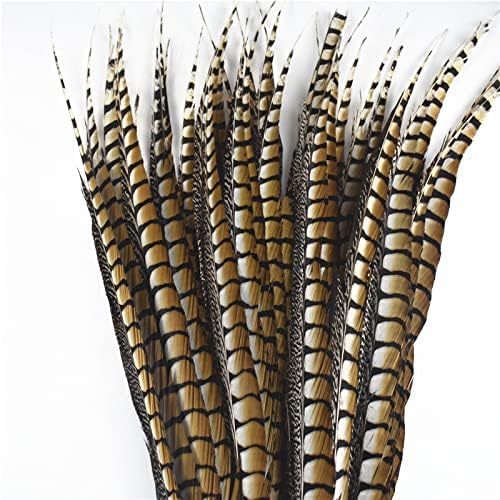 Zamihalaa-10pcs/lote natural penas de faisão Lady para artesanato 10-120cm 4-48 Acessórios de carnaval de comprimento Plume de