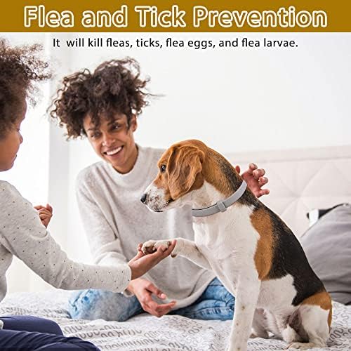 Colar de pulga budoci para cães 2 embalam pulgas naturais e colarinho para cães para cães de prevenção de 8 meses