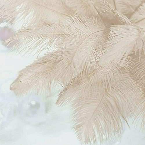 10 penas de avestruz PCS - Plumes - Ivory -Beige -