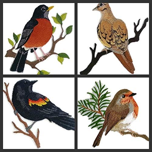 A natureza tecida em fios, Amazing Birds Kingdom [Single Robin Bird] [personalizado e exclusivo] Ferro bordado On/Sew