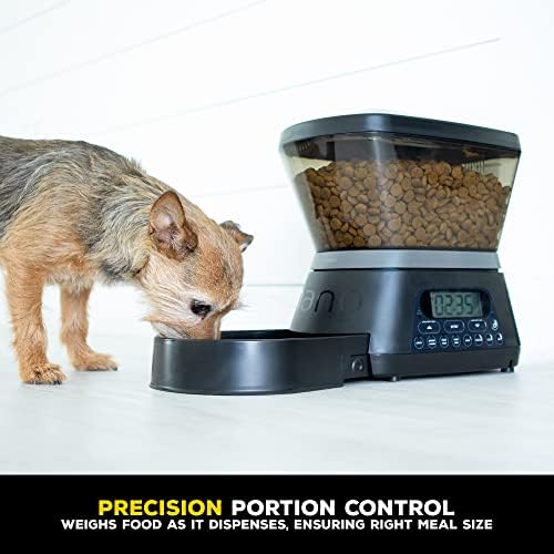 Gamma2 Nano Automatic Dog Feer e alimentador de gatos | 7,5 lb de alimentos de gato ou capacidade de armazenamento de alimentos
