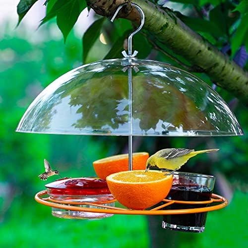 Twinkle Star Oriole Bird Alimentador, 3 tipos de comida, metades de laranja frutas, bebida de néctar e uva Jelly Hummingbird