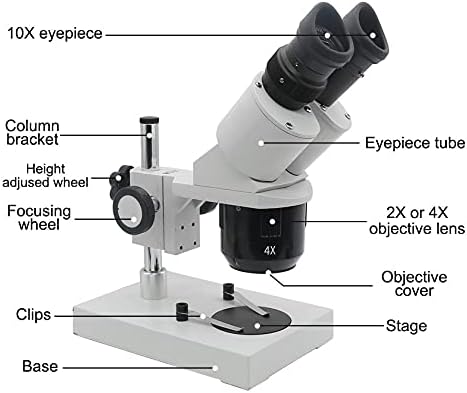 BZLSFHZ 10X-20X-30X-40X Microscópio estéreo binocular binocular Microscópio industrial iluminado com ocular para reparo de relógio