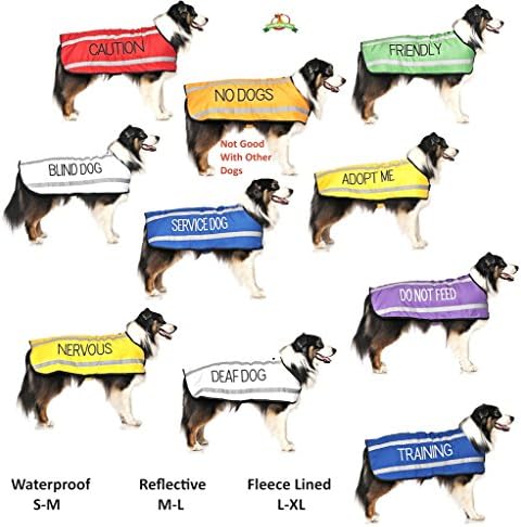 Adote -me codificado de cores amarelas S M L XL Fivela Dog Collars Doar para sua instituição de caridade local