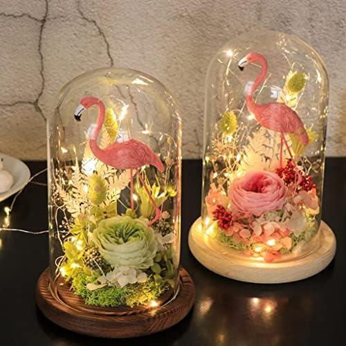 Ｋｌｋｃｍｓ Conjunto de 2 plantas de cães cloche de vidro e jarra de flores com decoração