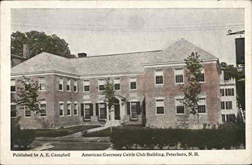 Construção do clube de gado de Guernsey Americano Peterborough, New Hampshire NH Original Antique Postcard