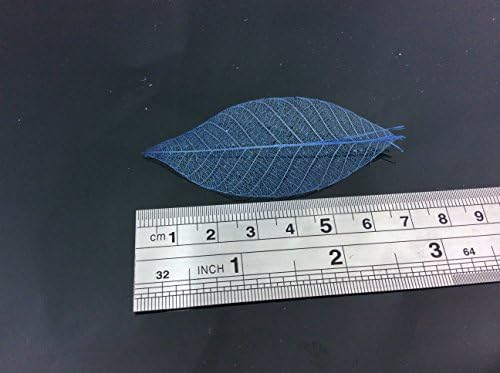 Esqueleto azul escuro pequenas folhas de cor natural de 3 polegadas, fabricando folhas de borracha natural
