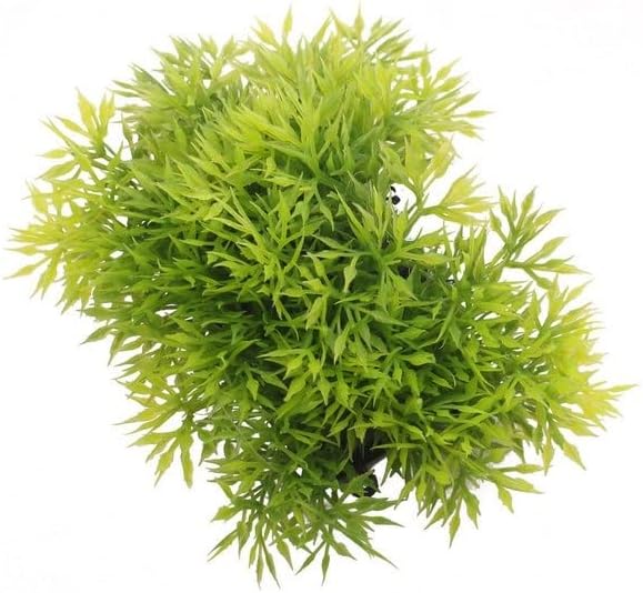 N/A Grass de água plástica Plantas de planta curta larga plantas artificiais para decoração de ornamentos de tanque de peixes