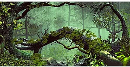 AVENTE 72X18 POLEGADAS FOGGY FOREST TERRARIUM FORMA