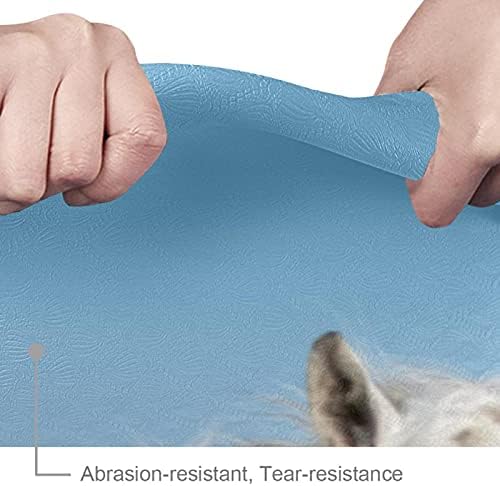 Mat de ioga extra espessa de 6 mm, três cavalos brancos em corrida água azul com estampa de céu azul Eco-friendly TPE Mats Pilates