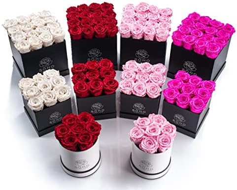 Soho Floral Arts Novos rosas preservadas Flores | Rosas genuínas que duram anos | Flores para entrega | Caixa grande/xl