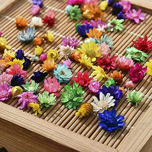 710pcs Flores secas de DIY espalhadas aromaterapia vela pingente de resina epóxi