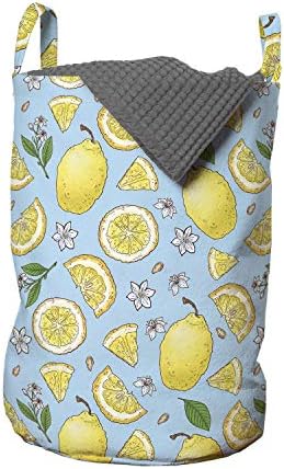 Bolsa de roupa de limão de Ambesonne, folhas florais coloridas de folhas florais florescem, cesto de cesto com alças fechamento de