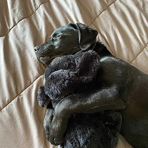 Snuggle Puppy - macio tosques tenros pequenos polvo e pacote de golfinhos - vem com filhotes de cachorro e pequenos brinquedos