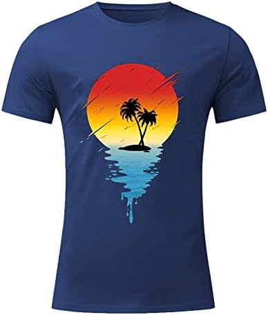 Camisas de manga curta masculinas Casual Hawaiian Pattern Round Neck Tee Fashion Summer Vacation Relicr Fit T-shirt