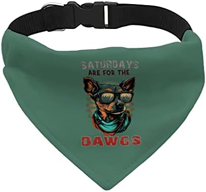 Cachorro com óculos escuros colarinho de pet bandana - colar de cachecol engraçado - cão impresso bandana - m