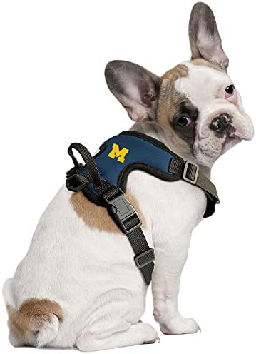 Littlearth Unissex-Adult NCAA Michigan Wolverines Front Clipe Pet Churness, Team Color, X-Small