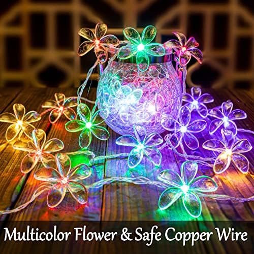 FIELEGEN 20 LED LELHAS DE FLOR FLOR FLOR LUZES DE FLOR FLOR 9,84 pés de fada Bateria leve Luzes de cordas de Natal Luzes decorativas