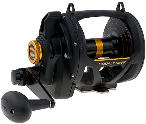 Penn Squall Leaver Drag 2 Speed ​​multiplicador rolo - barco de água salgada e carretel de pesca de caiaque