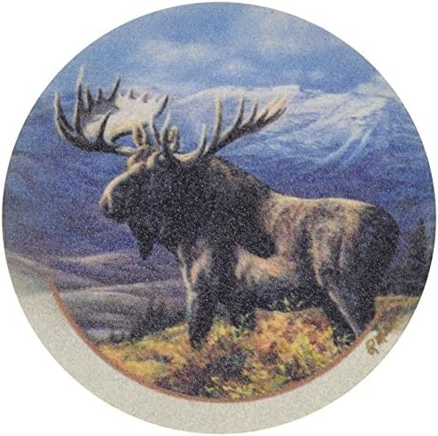Conjunto de montanha -russa de Sidstystone, Cooper Moose