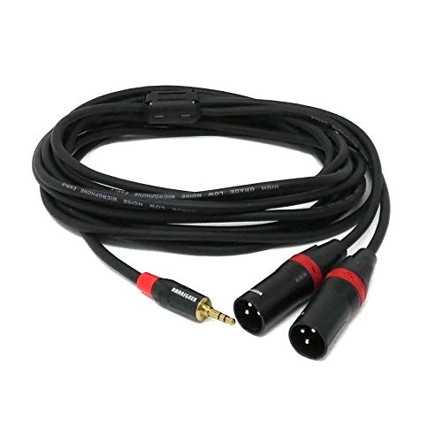 Rannnsgeer 3,5 mm TRS estéreo para XLR Dual Male Y-Splitter Cabo de 18 pés