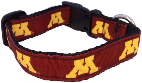 NCAA Minnesota Golden Gophers Cola de cachorro, cor da equipe, meio