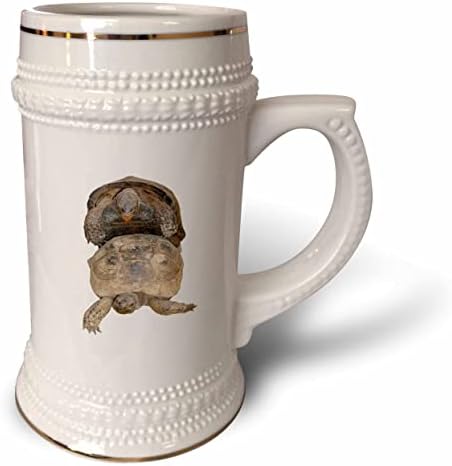 3drose acasalamento de tartarugas vetor cortado - 22oz de caneca de Stein