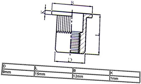 X-Dree M6x15mm de extremidade plana aberta corporal de cabeça cortada corda cegada porca de rebite 100pcs (m6x15mm extremos